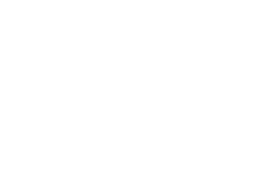 Mercado Araucanía